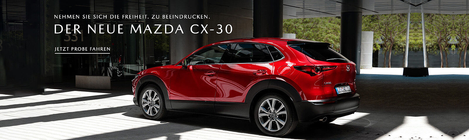 CX-30