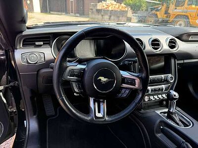Ford Mustang GT Convertible 5.0 Ti-VCT V8 Cabrio
